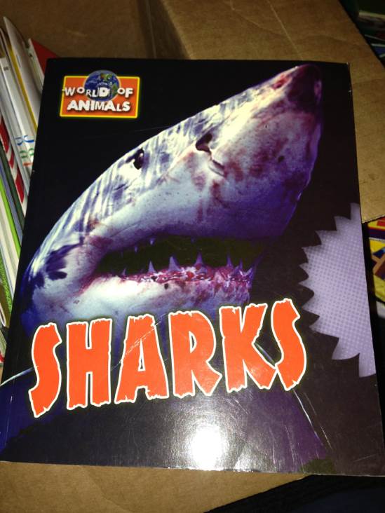 Sharks