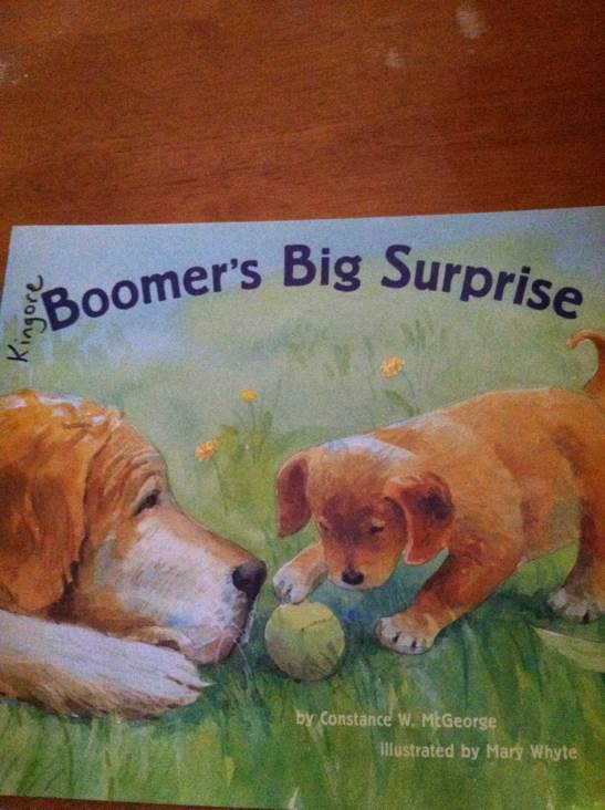 Boomer’s Big Surprise