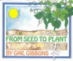 From Seed To Plant