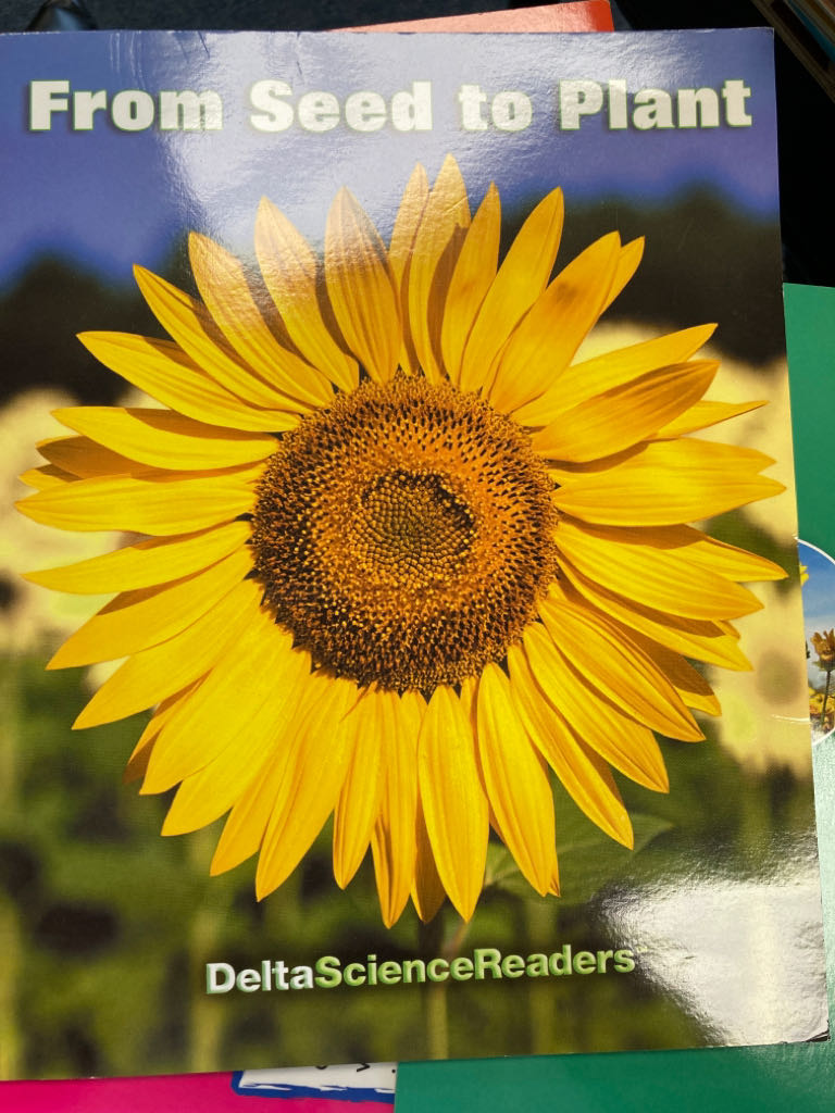 From Seed To Plant