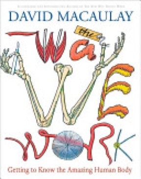 The Way We Work: Getting To Know The Amazing Human Body