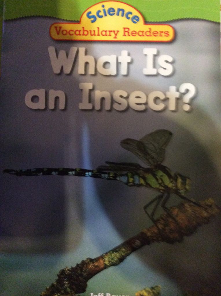 What Is an Insect?