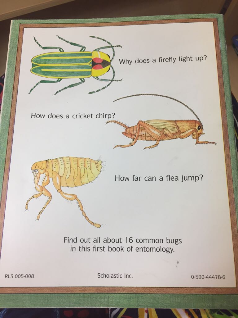 Bugs - Nancy Winslow Parker (Scholastic Inc - Paperback) book collectible [Barcode 9780590444781] - Main Image 2