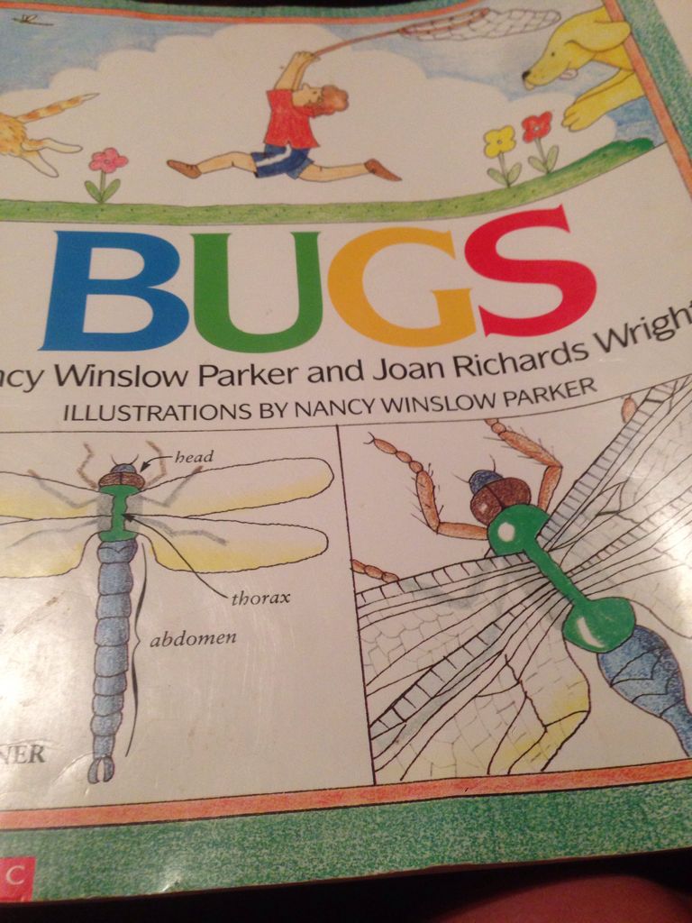 Bugs - Nancy Winslow Parker (Scholastic Inc - Paperback) book collectible [Barcode 9780590726030] - Main Image 1