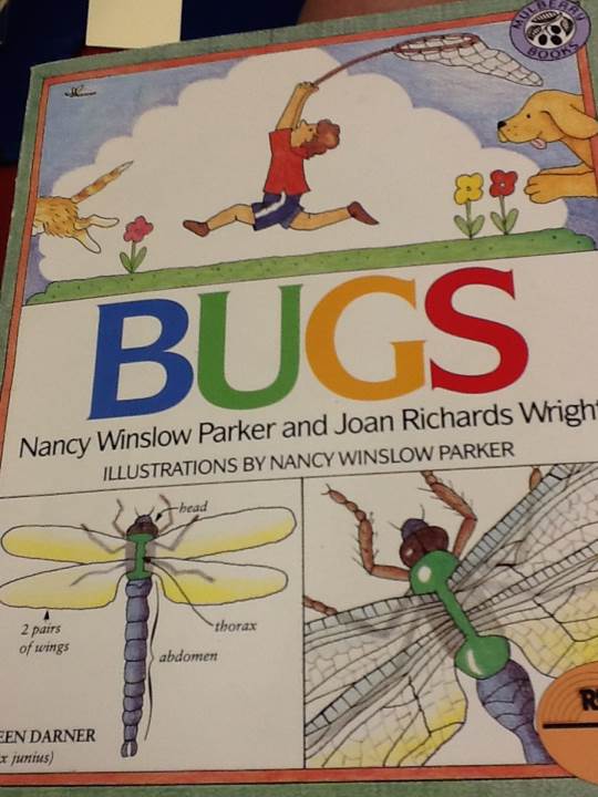 Bugs - Nancy Parker (HarperTrophy) book collectible [Barcode 9780688082963] - Main Image 1