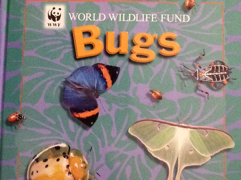 Bugs