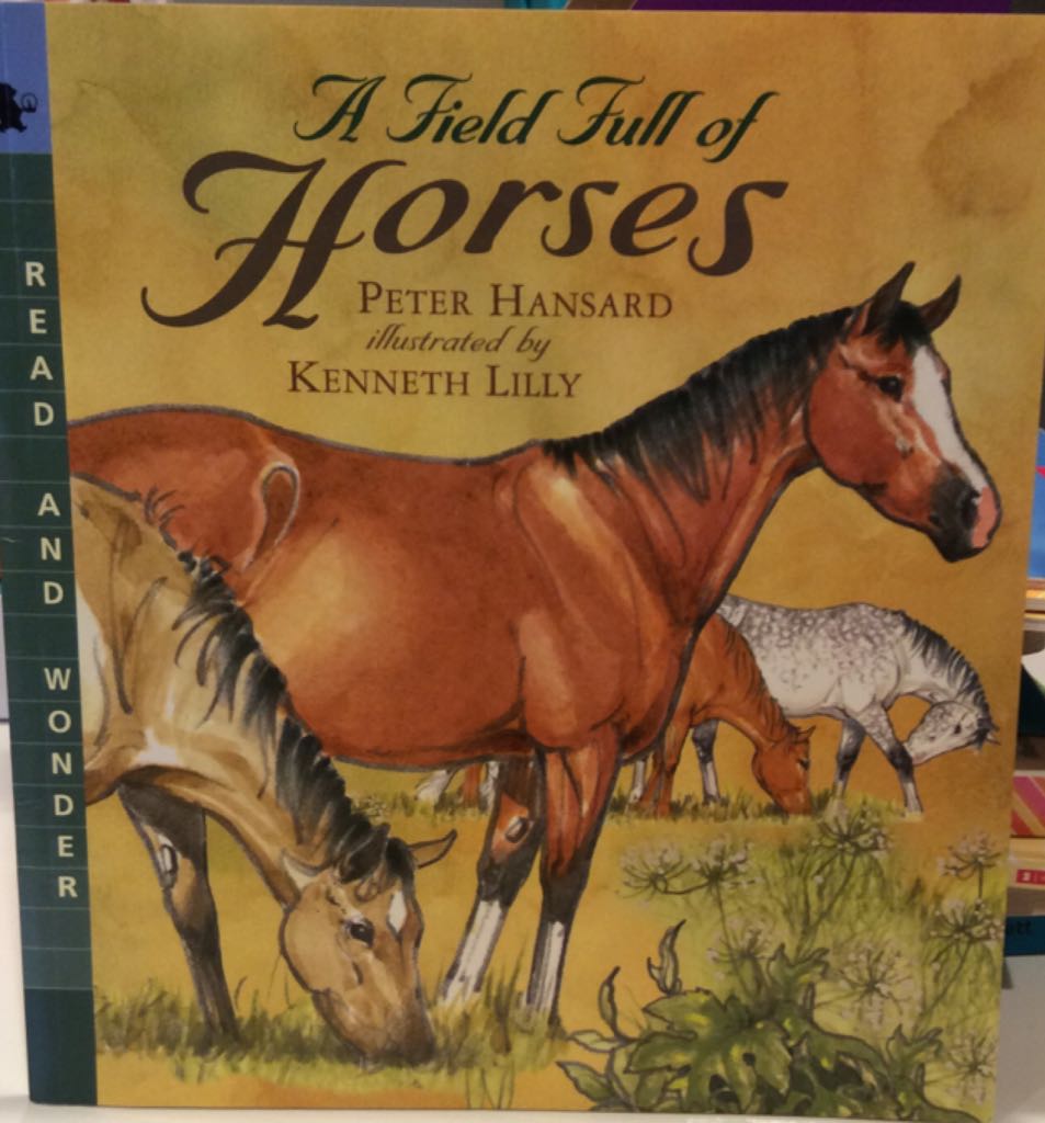 A Field Full Of Horses