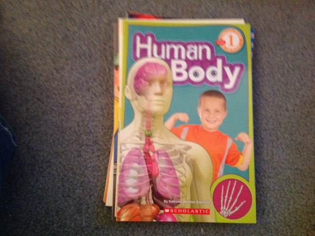 Human Body