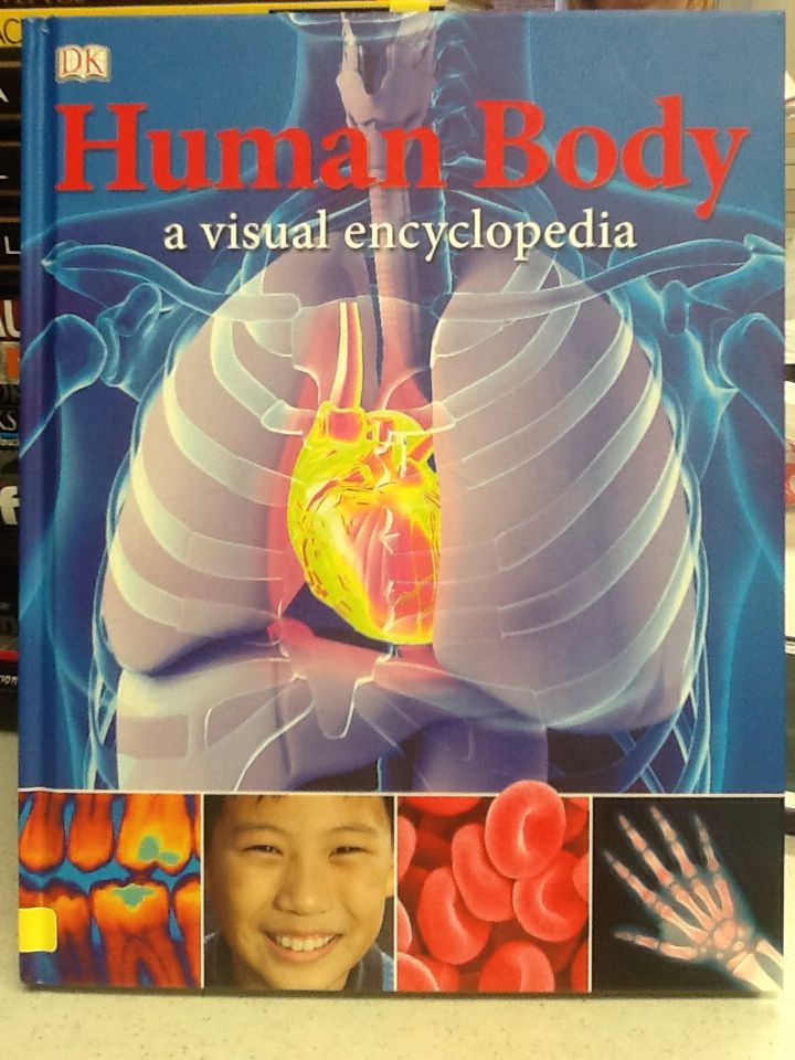 Human Body