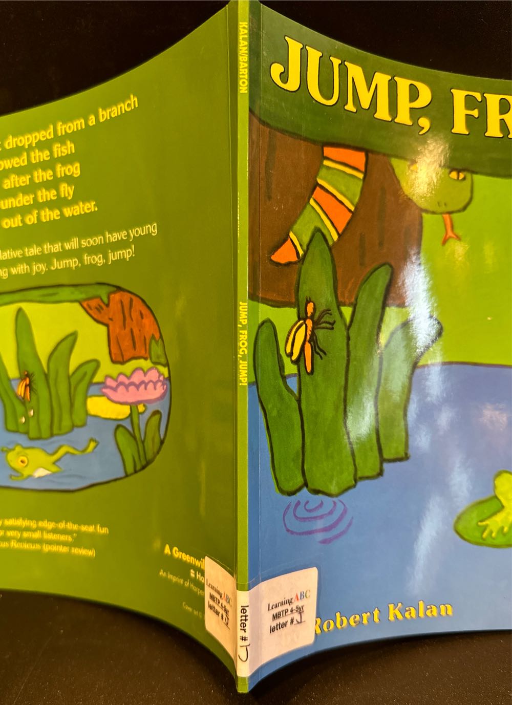 Jump, Frog, Jump! - Robert Kalan (A Mulberry Paperback Book - Paperback) book collectible [Barcode 9780688092412] - Main Image 2