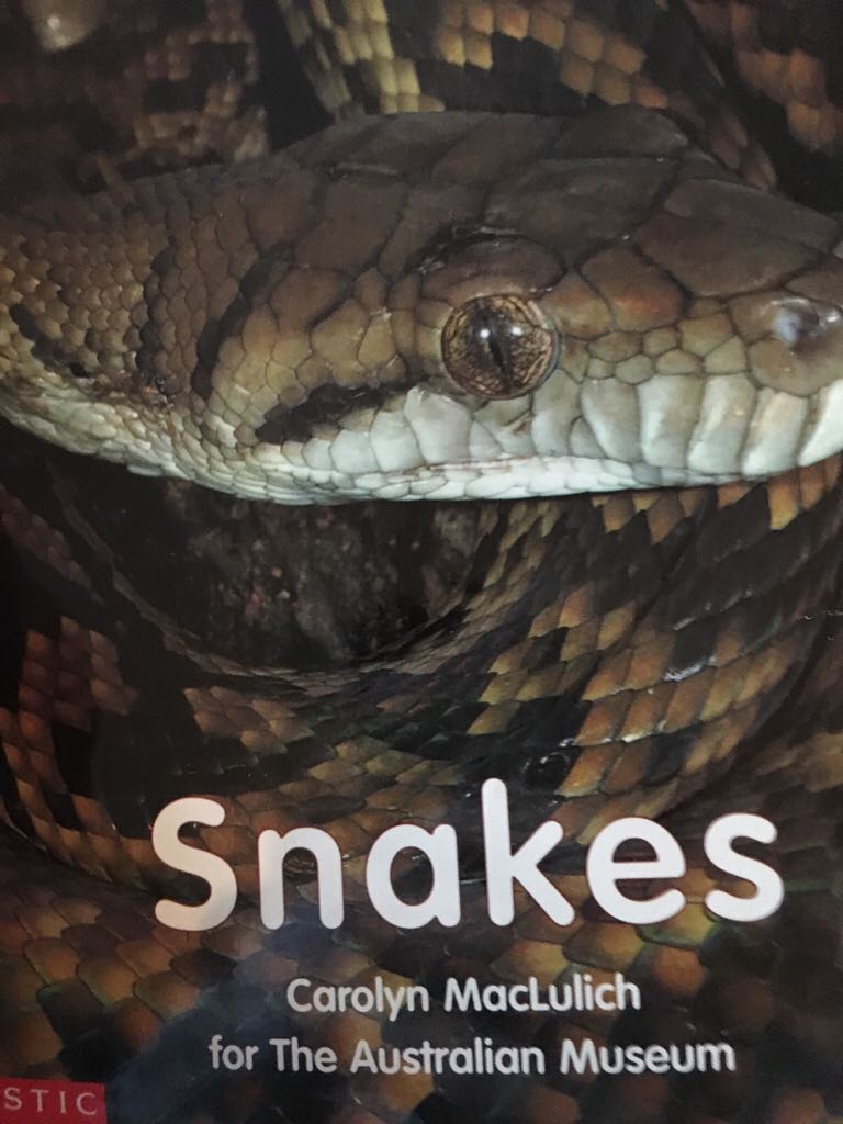 Snakes
