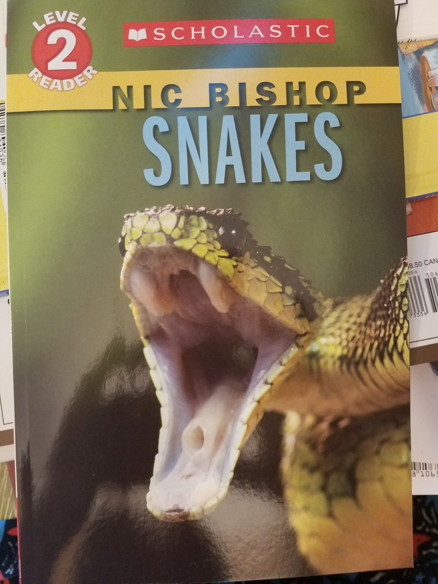 Snakes