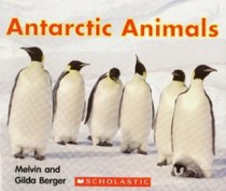 Antarctic Animals