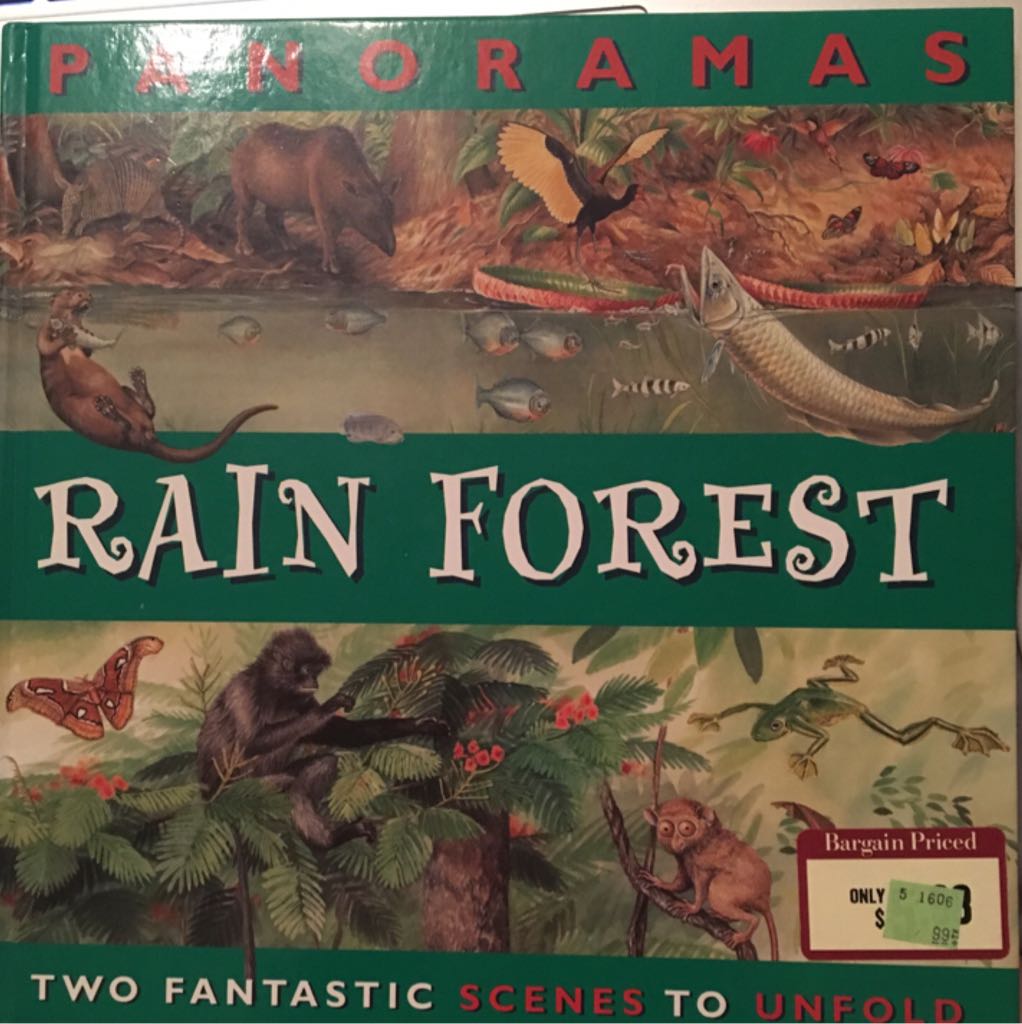 Rain Forest