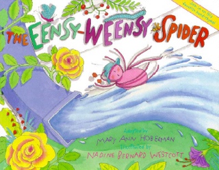 The Eensy Weensy Spider