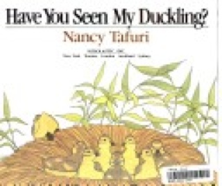 Have You Seen My Duckling? - Nancy Tafuri (Scholastic Inc. - Paperback) book collectible [Barcode 9780590443852] - Main Image 1