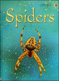 Spiders