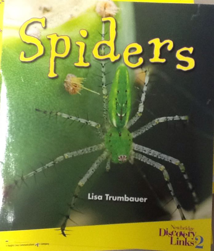 Spiders