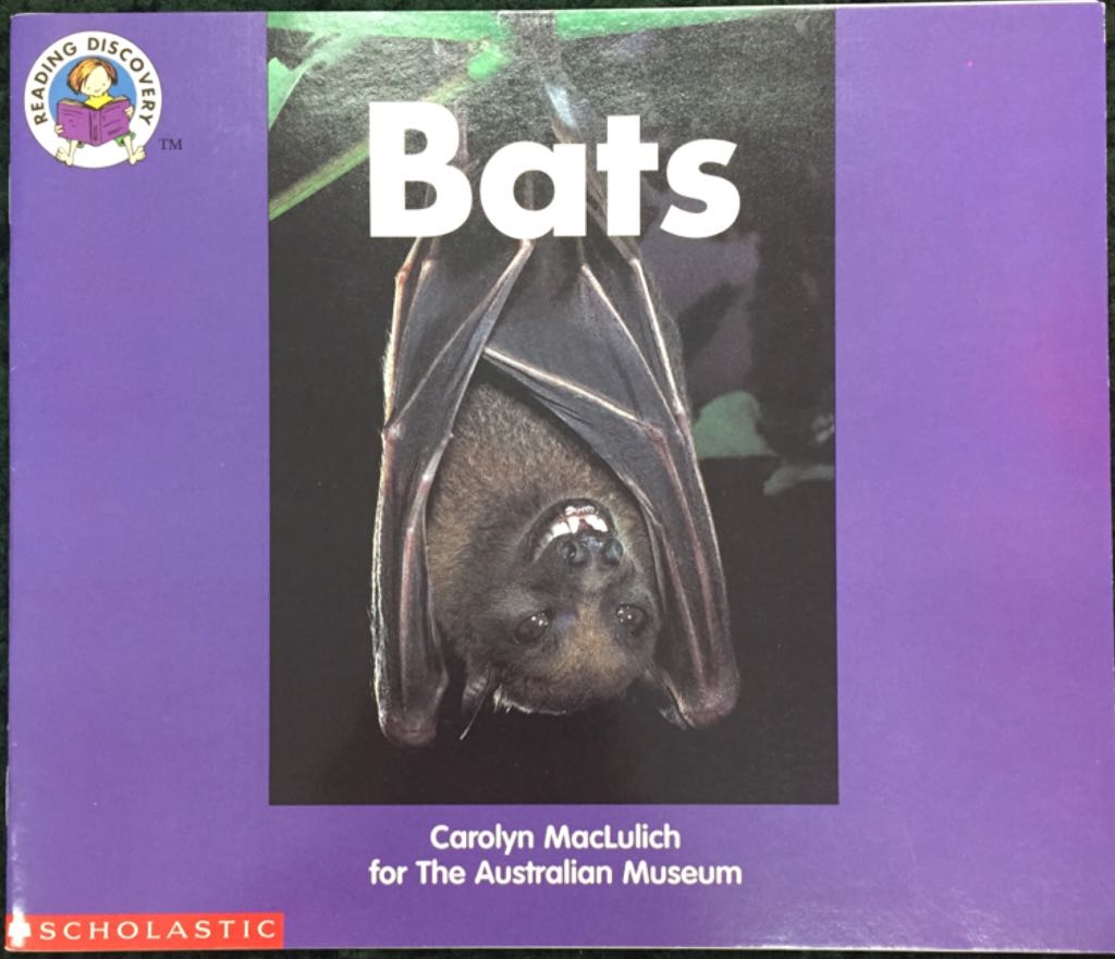 Bats - Lily Wood book collectible [Barcode 9780439113175] - Main Image 1