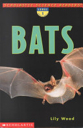 Bats - Traci Dibble (Bats Pumpkins Spiders - Paperback) book collectible [Barcode 9780439162937] - Main Image 1