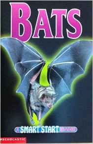 Bats