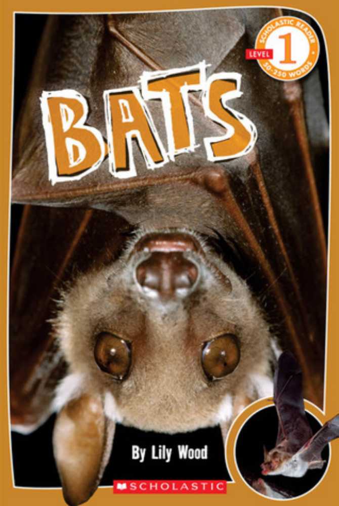 Bats - Traci Dibble (Scholastic Inc. - Paperback) book collectible [Barcode 9780545237543] - Main Image 2