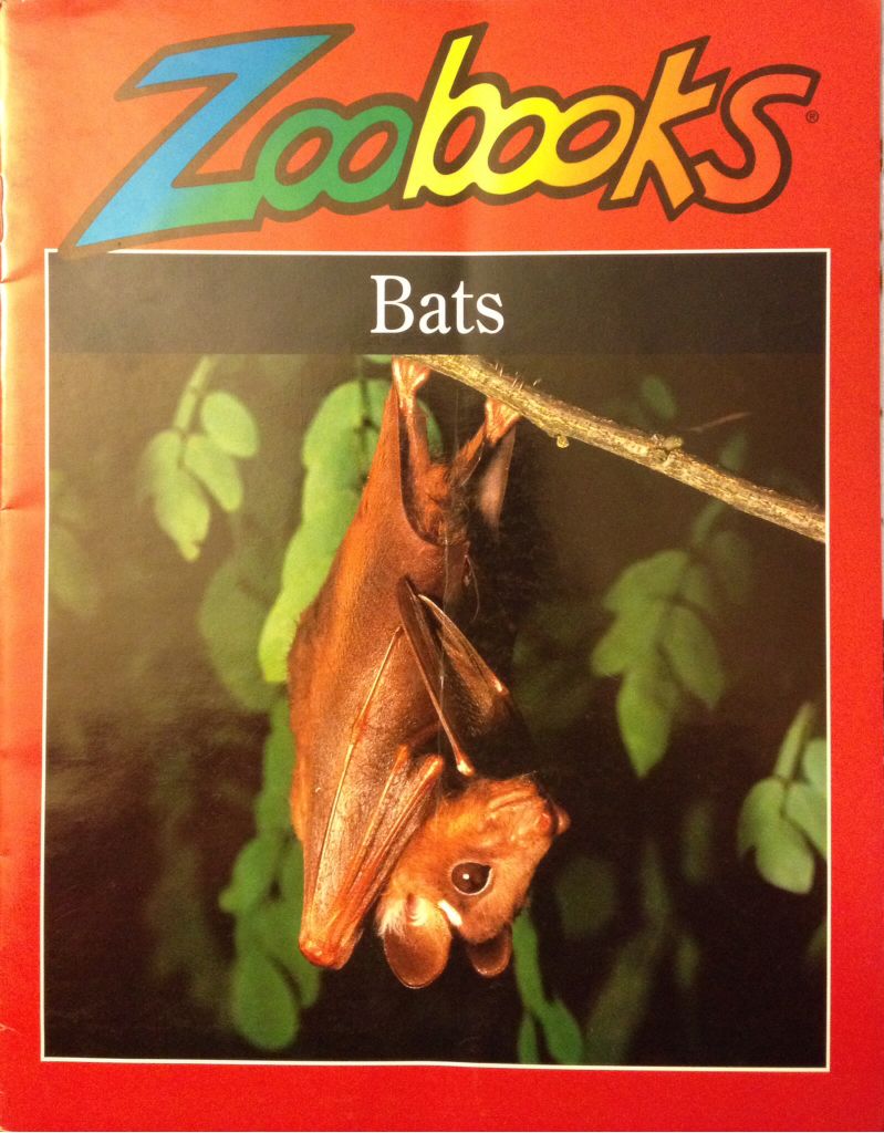 Bats