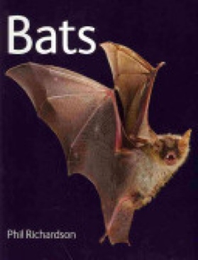 Bats