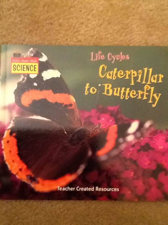 Life Cycles Caterpillar To Butterfly