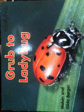 Grub to Ladybug
