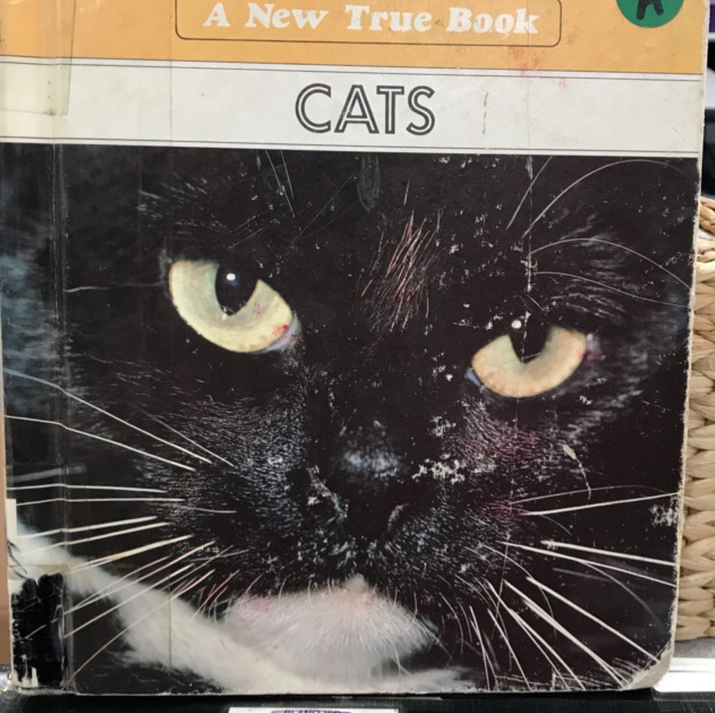 Cats - David Sands book collectible [Barcode 9780516016719] - Main Image 1