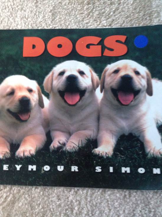 Dogs