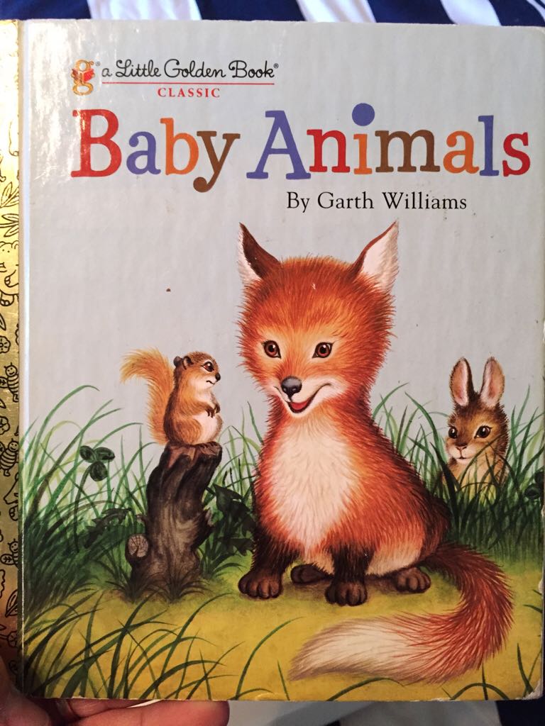 Baby Animals
