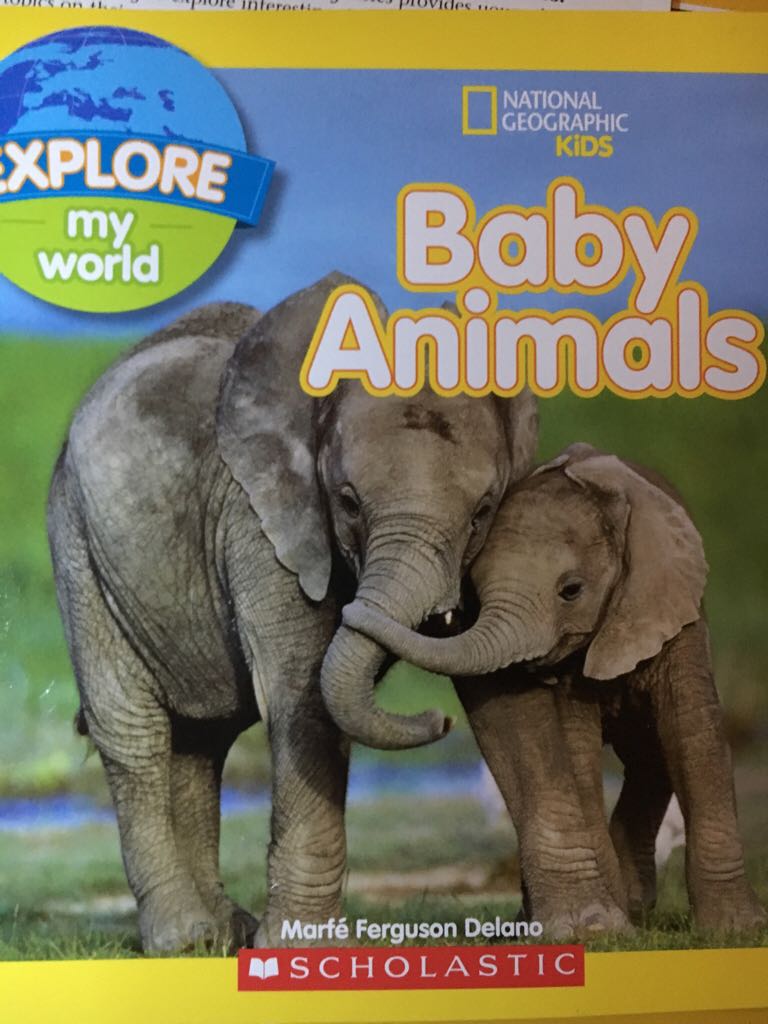 Baby Animals NGK Explore my world