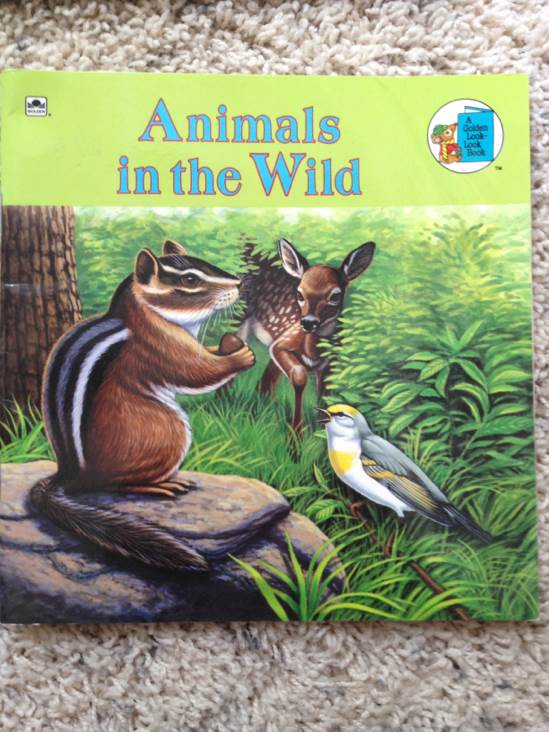 Animals In The Wild