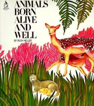 Animals Born Alive And Well - Ruth Heller (A Scholastic Press - Paperback) book collectible [Barcode 9780590412537] - Main Image 1