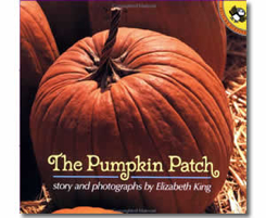 The Pumpkin Patch