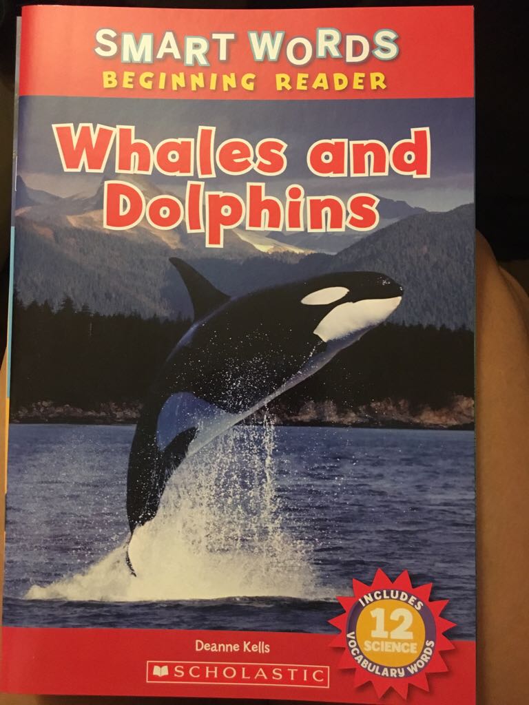 Whales And Dolphins