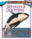 Whales And Dolphins
