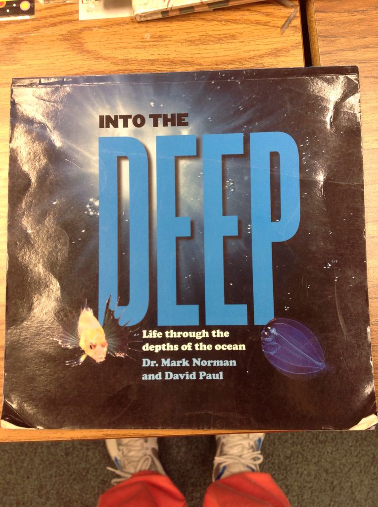 Into The Deep - Colleen Coble book collectible [Barcode 9781742031910] - Main Image 1