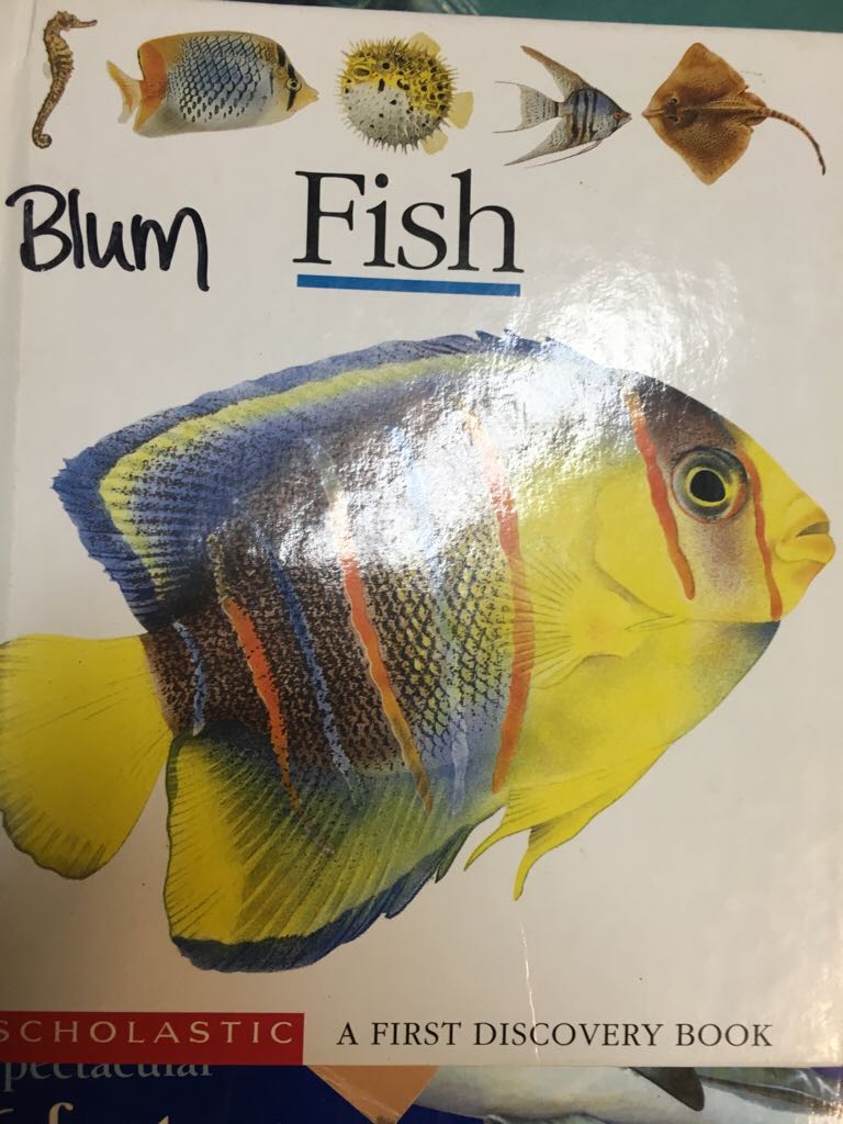 Fish