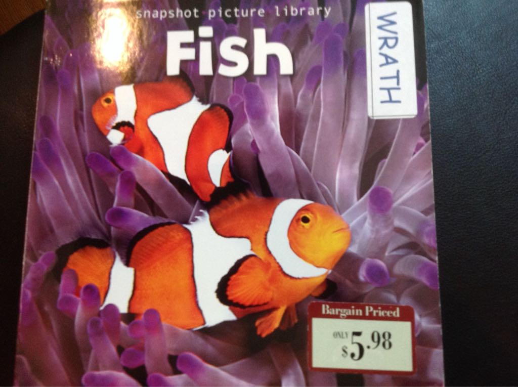 Fish