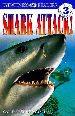 Shark Attack!