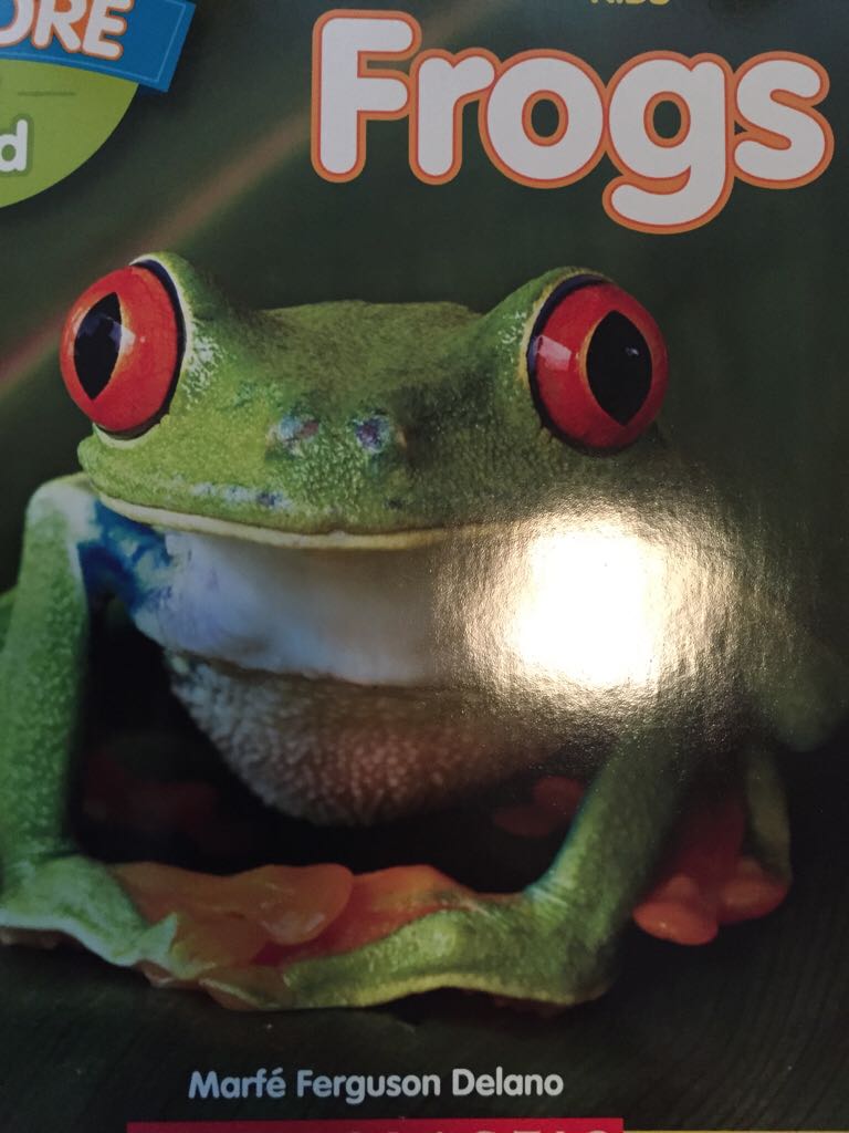 Frogs NGK Explore my world