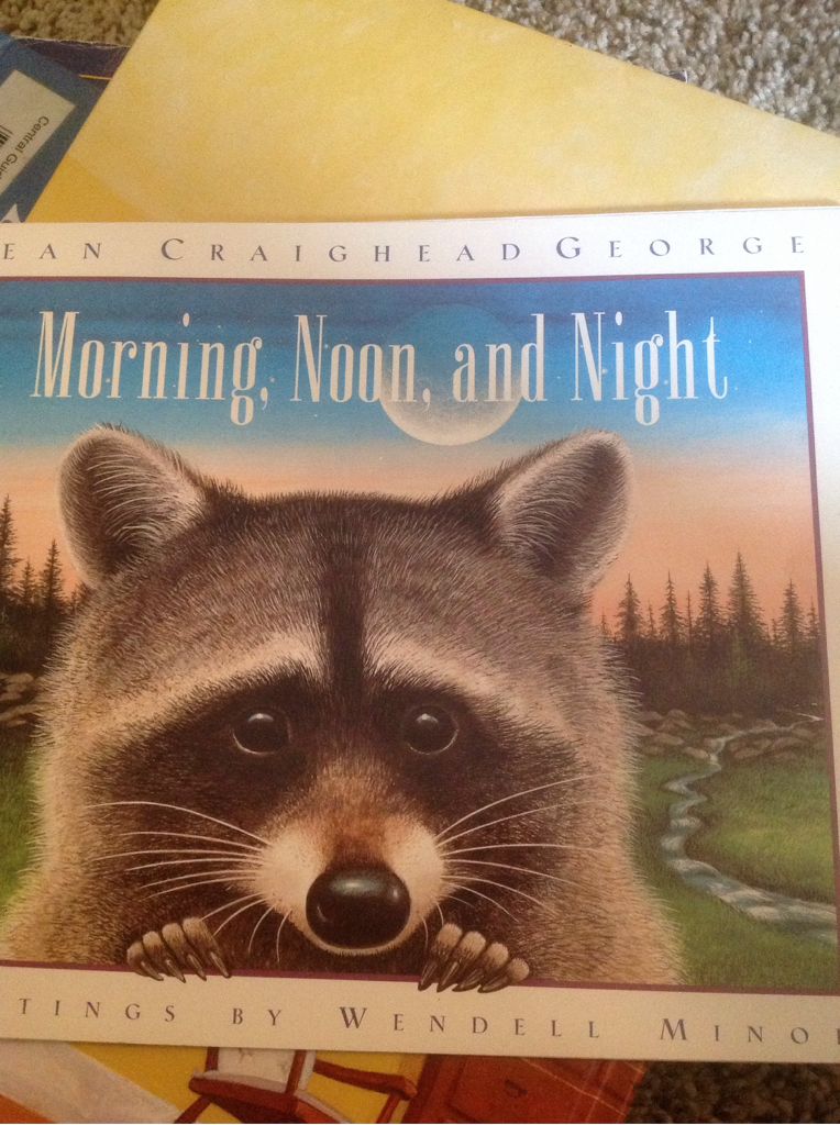 Morning, Noon, And Night
