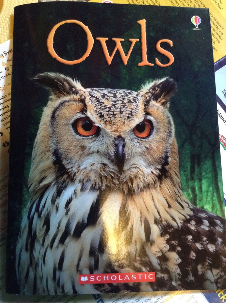 Owls