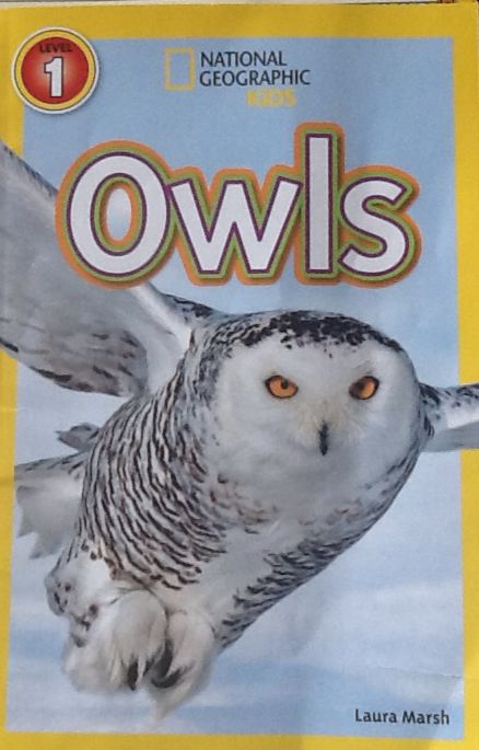 Owls