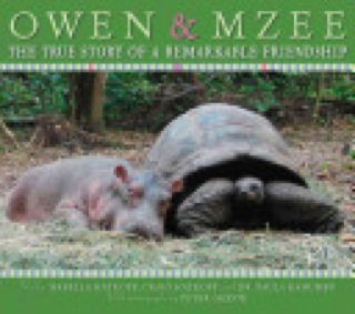 Owen & Mzee