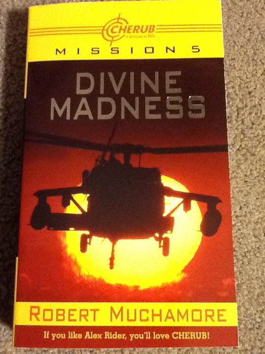 Divine Madness