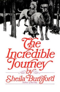 Incredible Journey